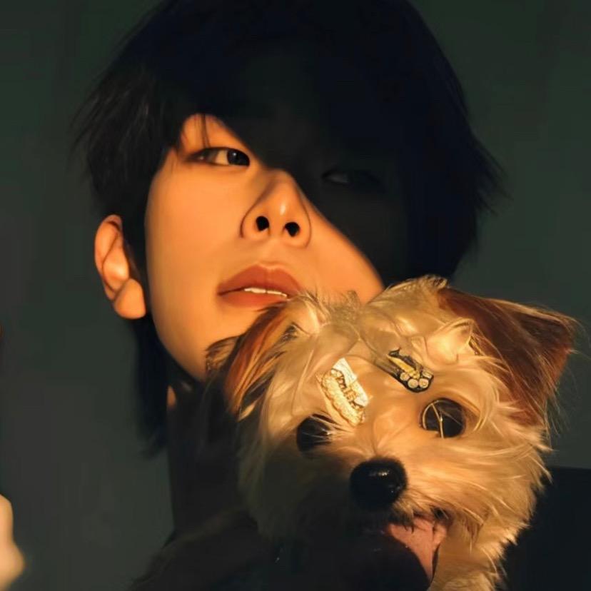 顾安