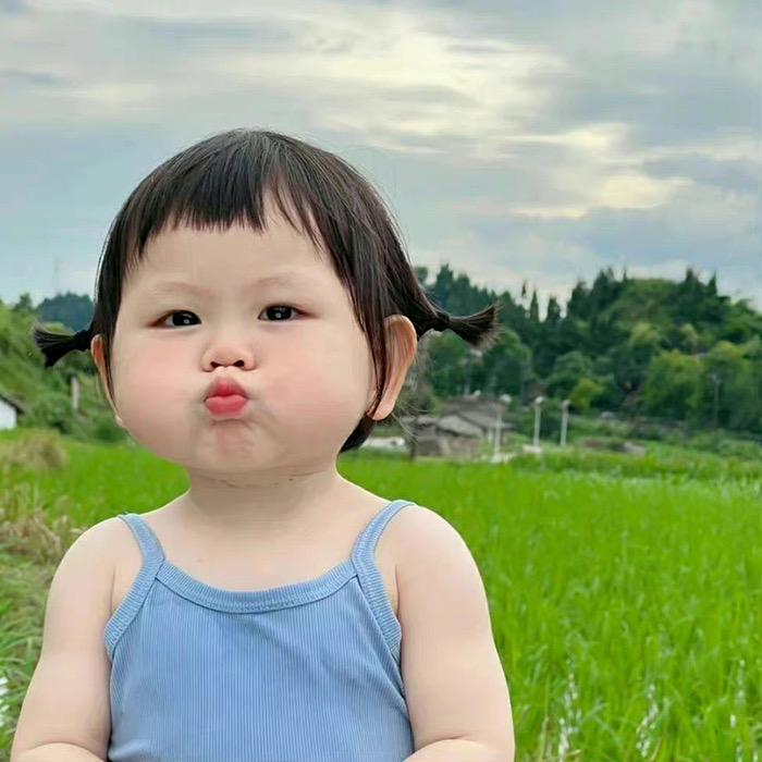 仙女不仙也不烦