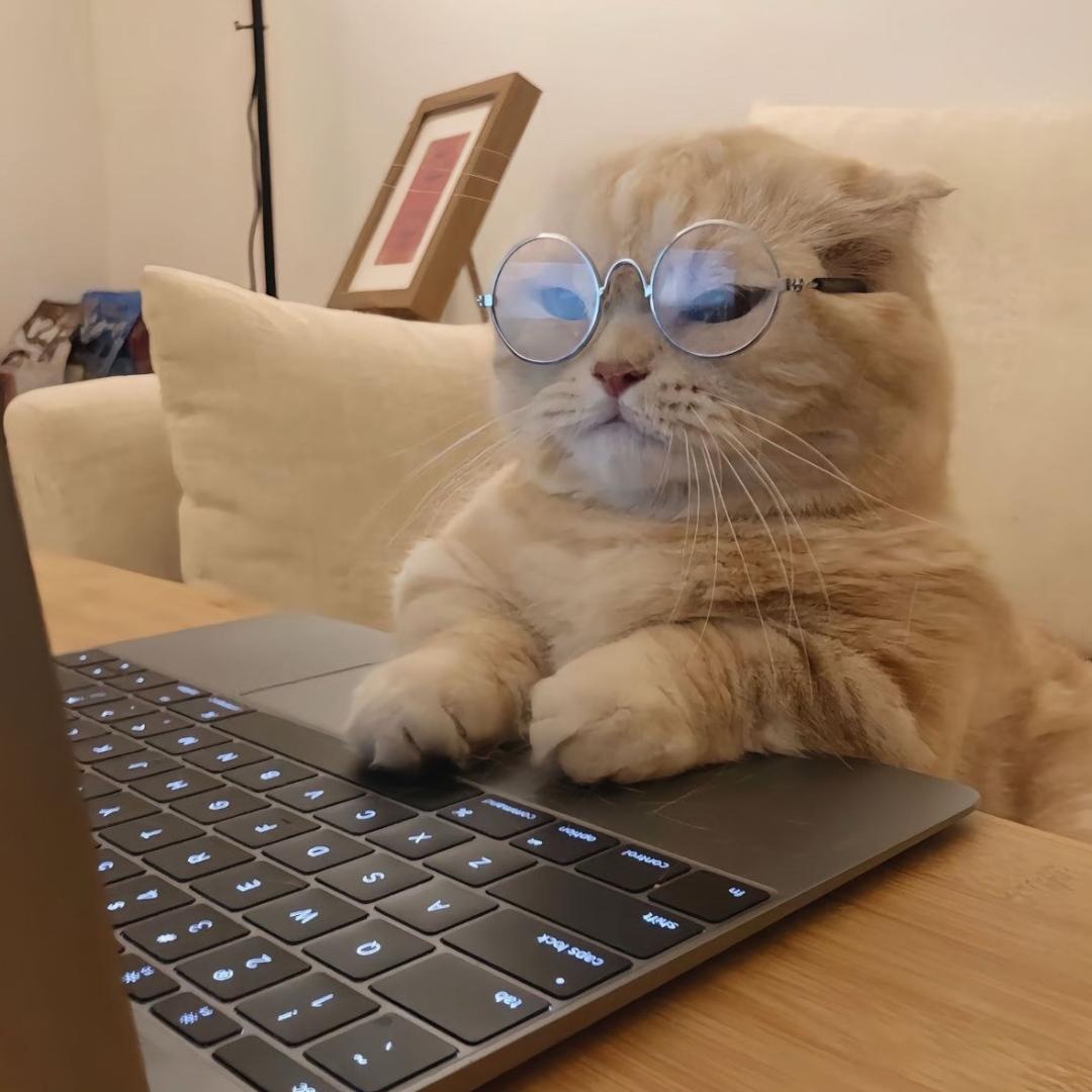 猫妹妹