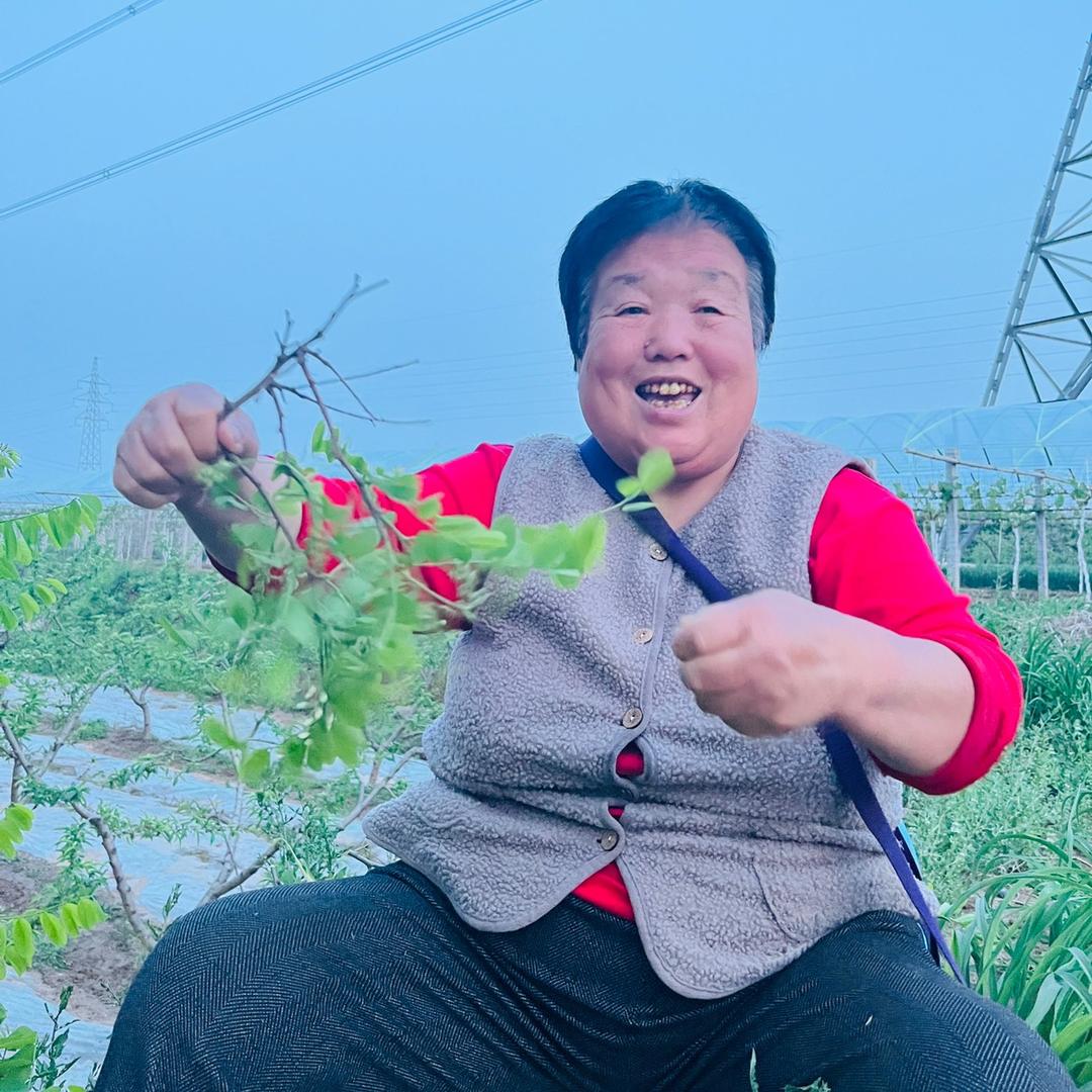 小郭婆婆～改