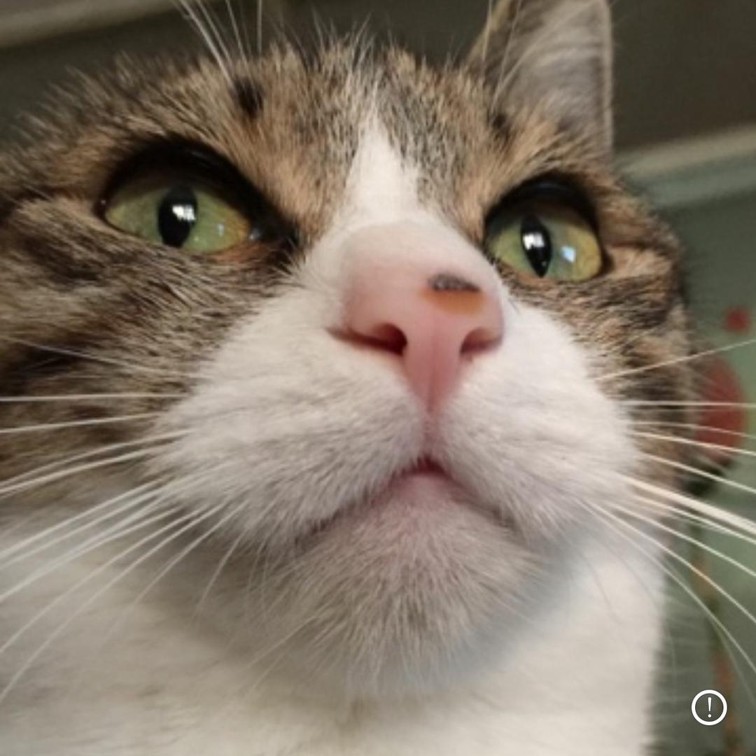 朝气蓬蓬的华华