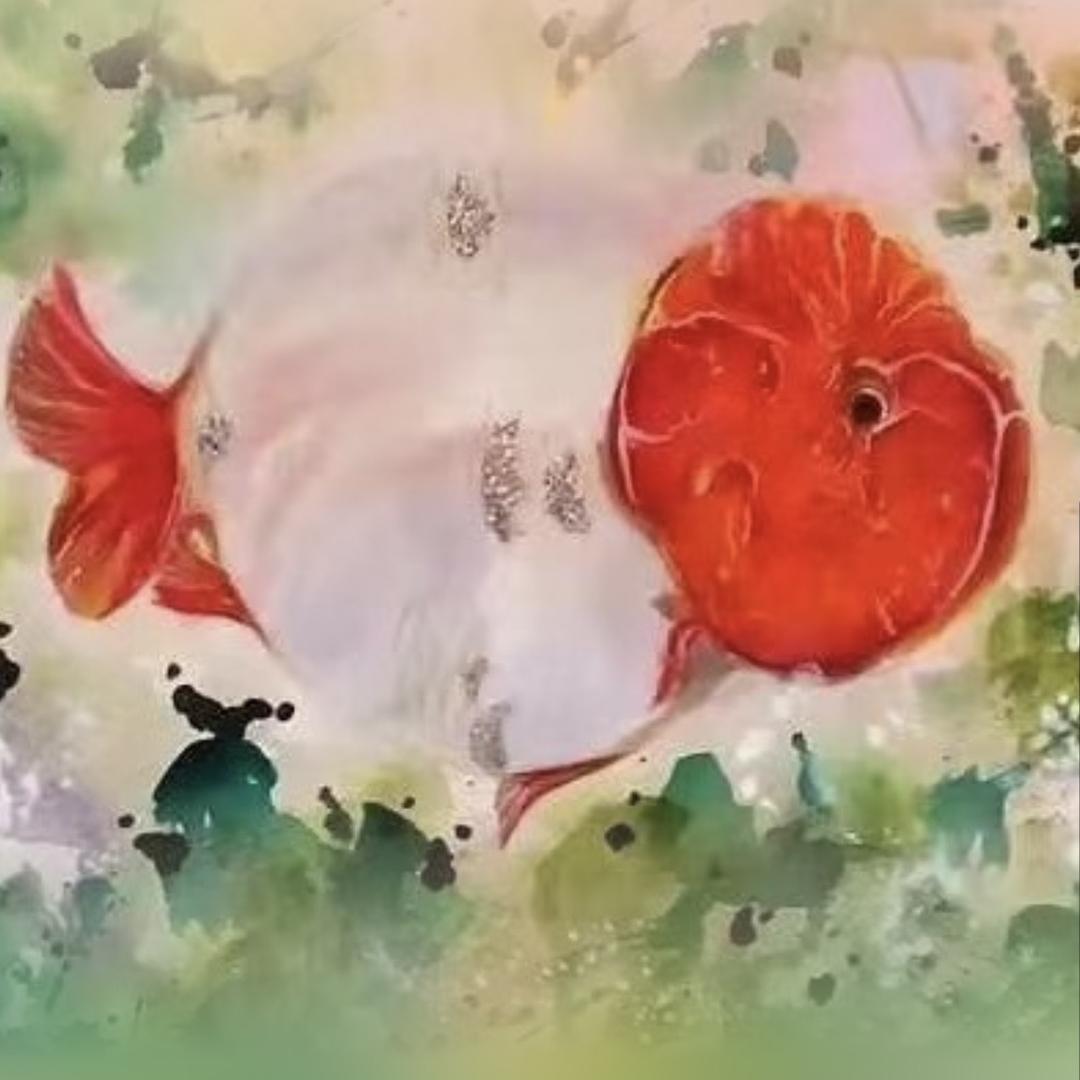 七七在卖鱼（泰狮 兰寿）