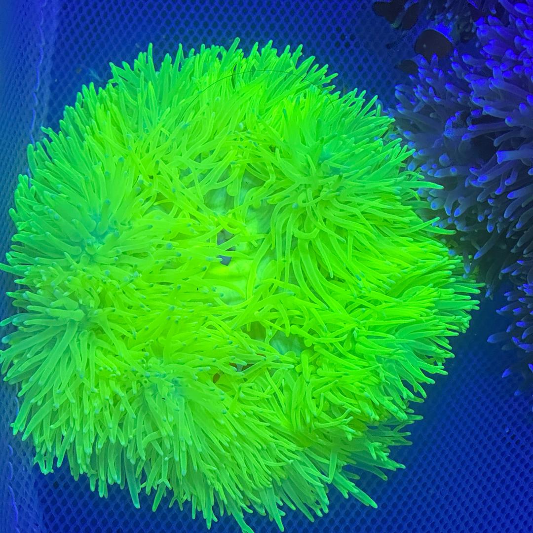海的味道