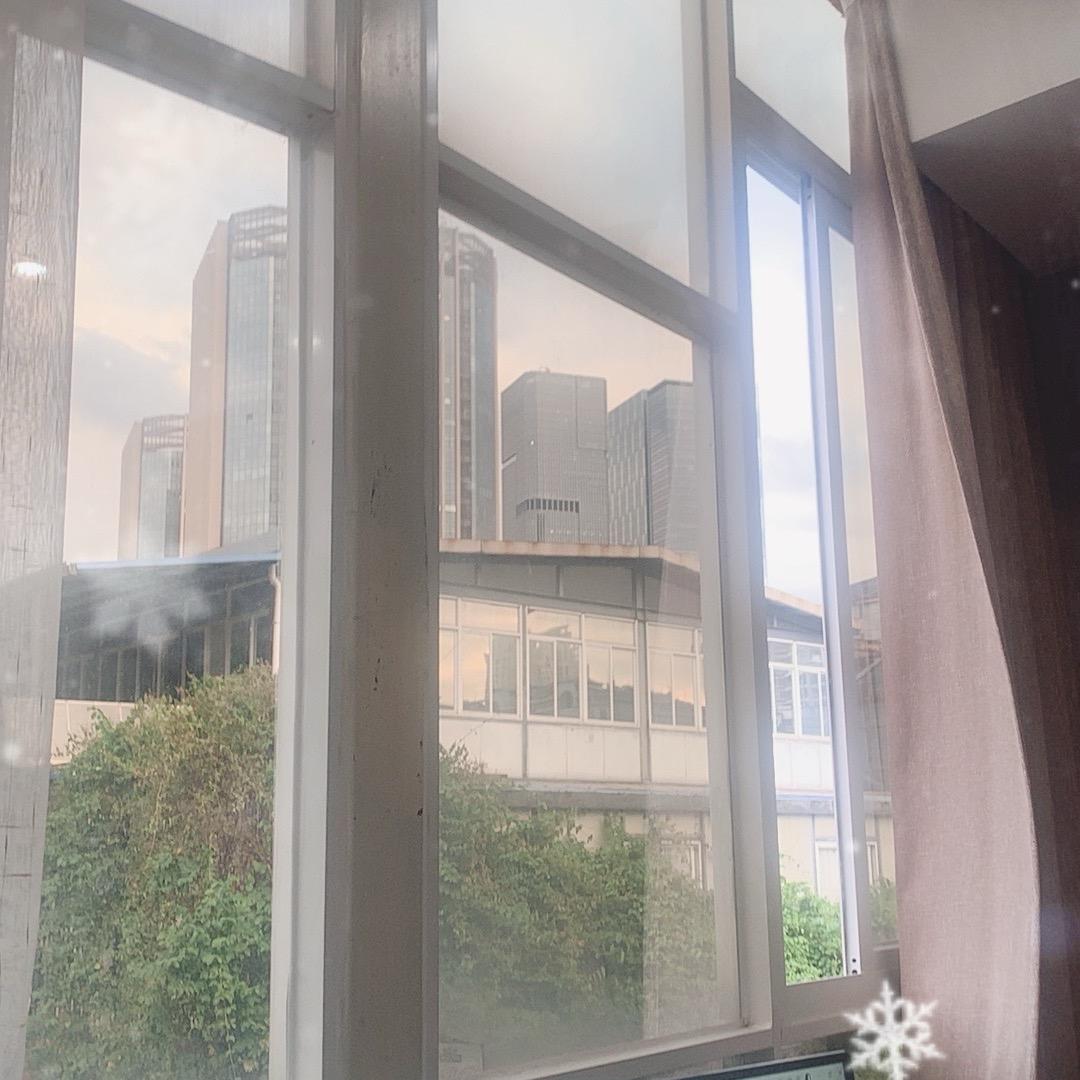 赔芝