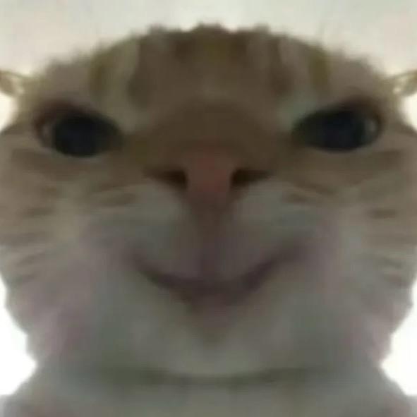 CAC（三角洲行动）