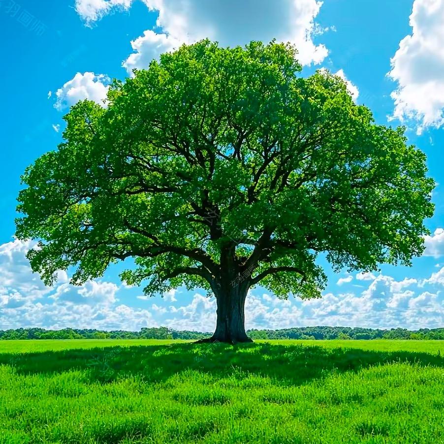 开心健康能暴富的韩姐