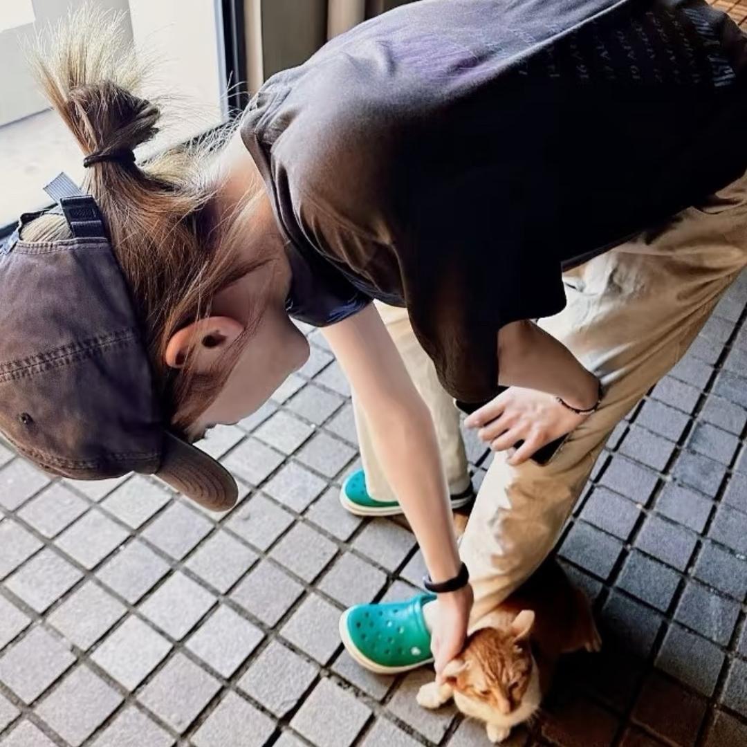 矛盾体