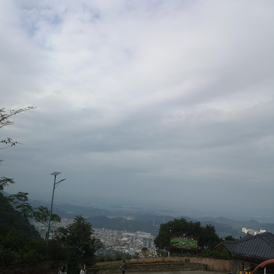 鸿运当头