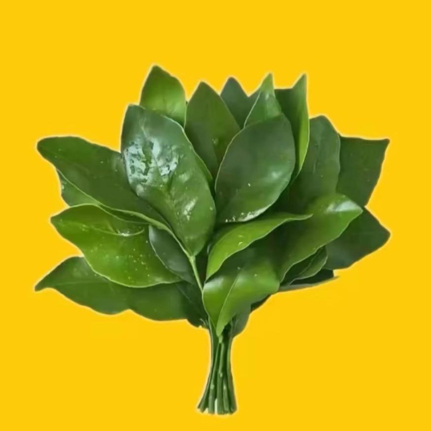 背小老太闯红灯