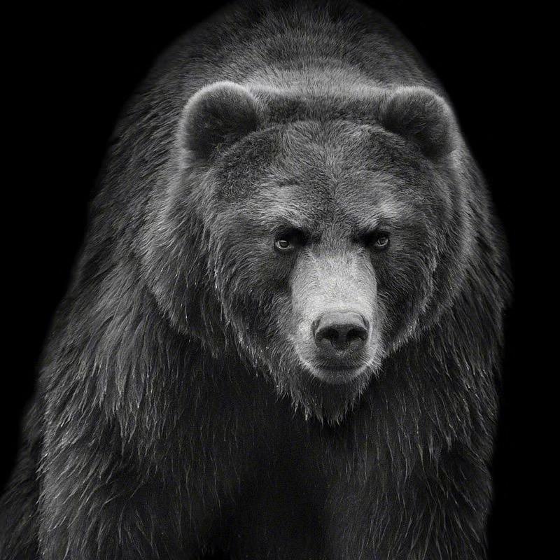 法号：伤心葫芦娃