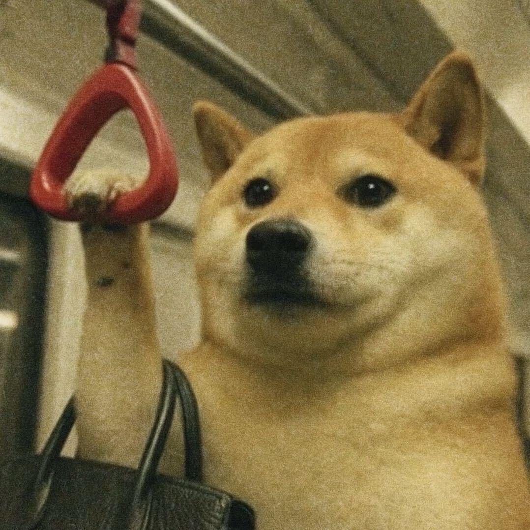 元宝动画头像