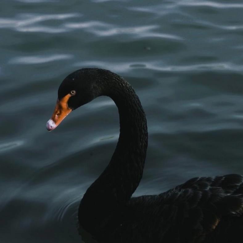 屿映商贸好货店