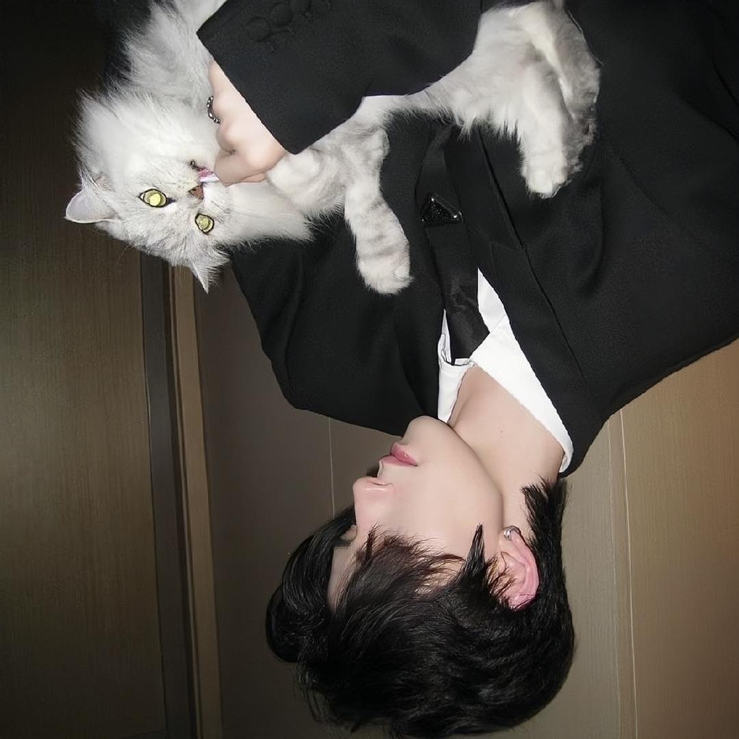 青舟
