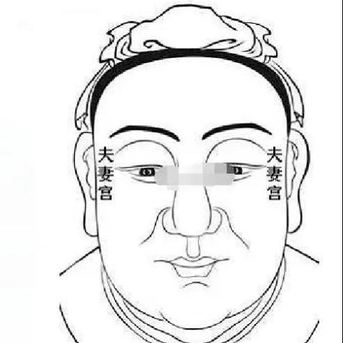 解说剧本