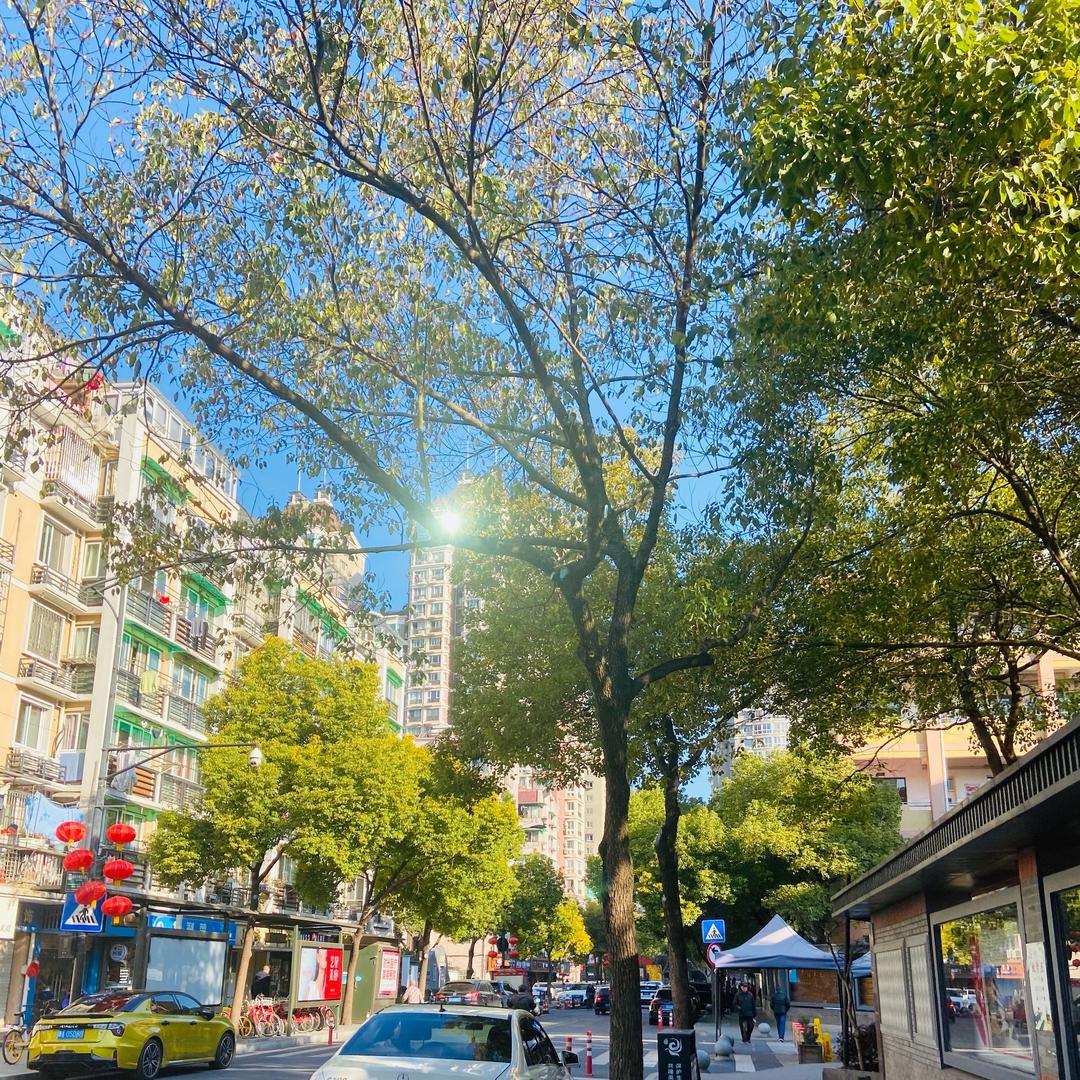 开心果的开心丫🥳