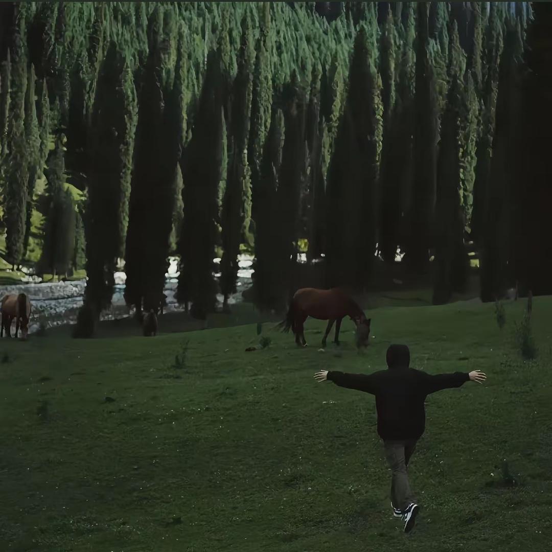 王得发明星潮流