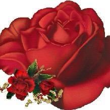 玫瑰花🌹💋🌸🌸💋🌹