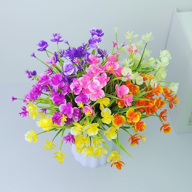 优选花界