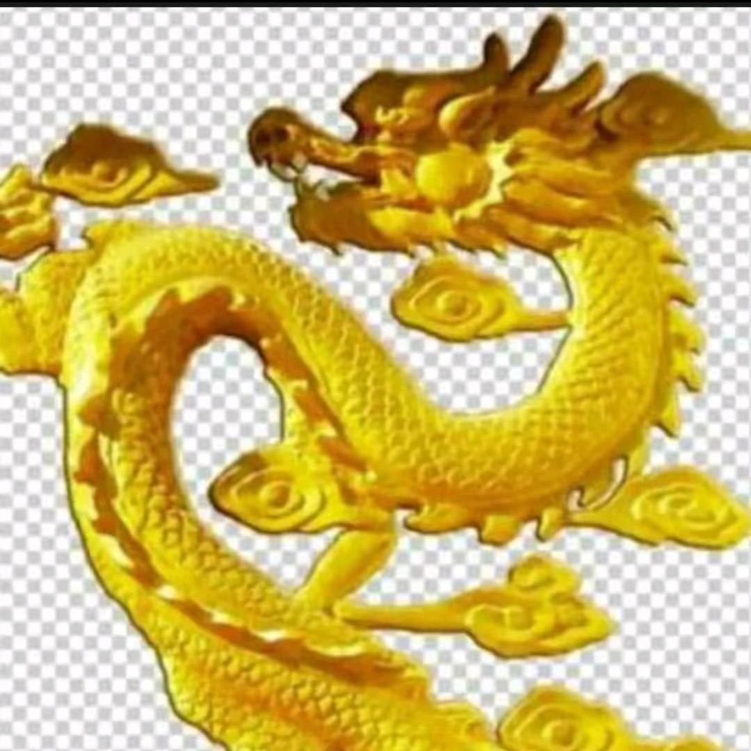 龙之枫影