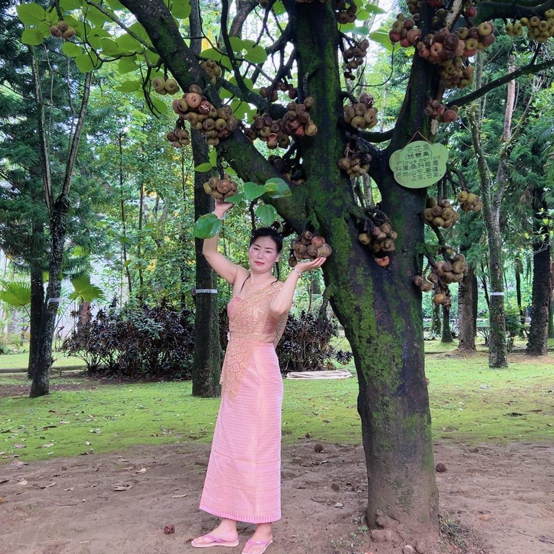 王家三妹