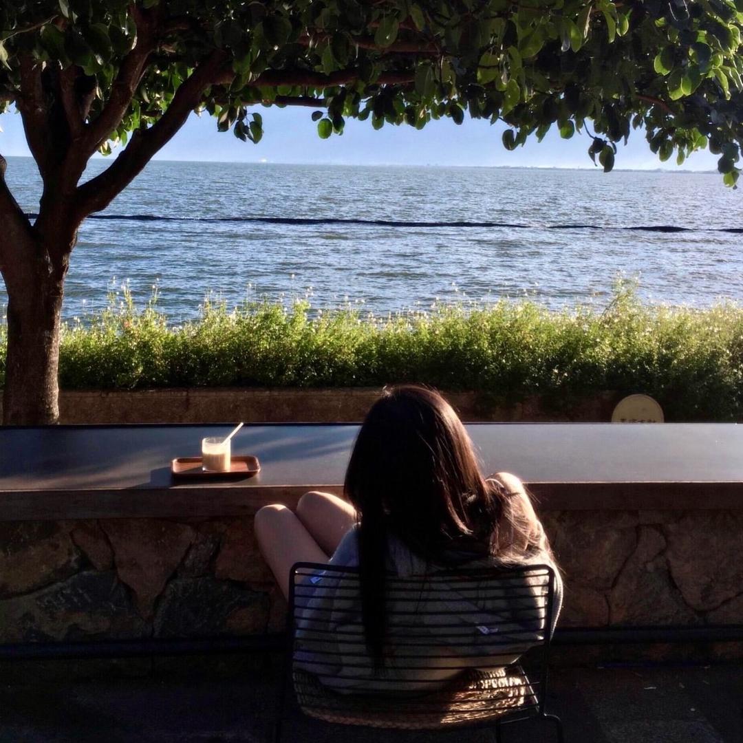 金叶🍁（海外版）