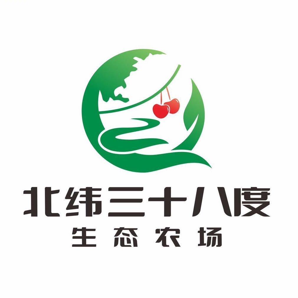 樱桃红了「北纬三十八度」