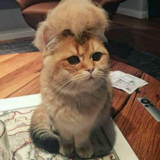 不要啊不要啊