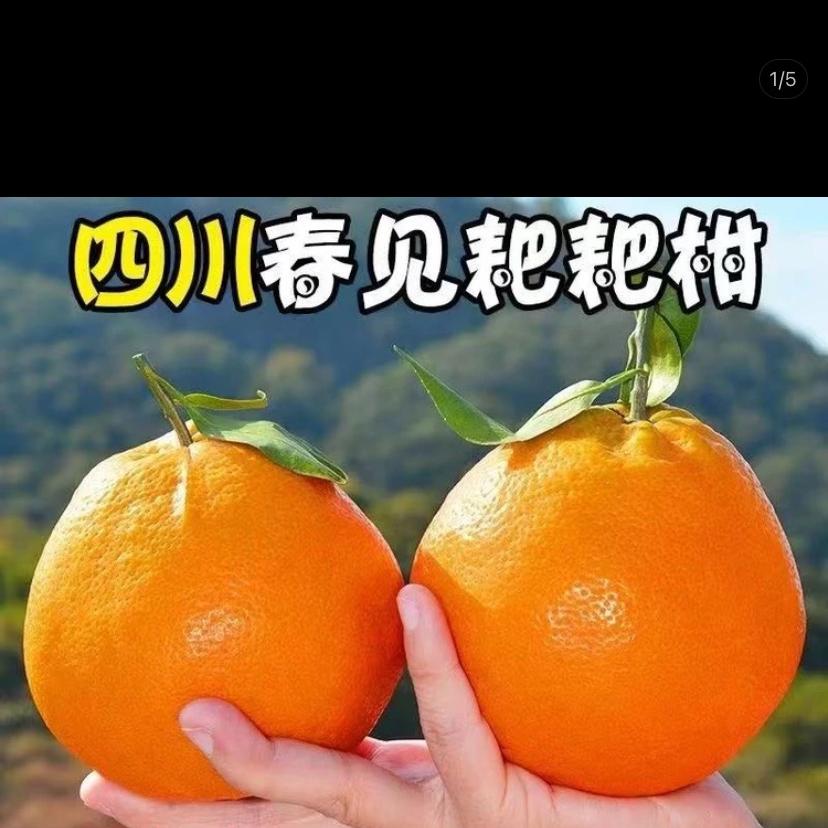 86357535815