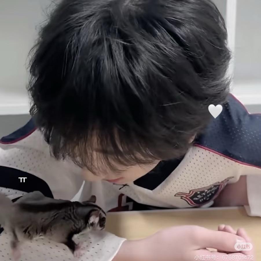 萌猪宅函*
