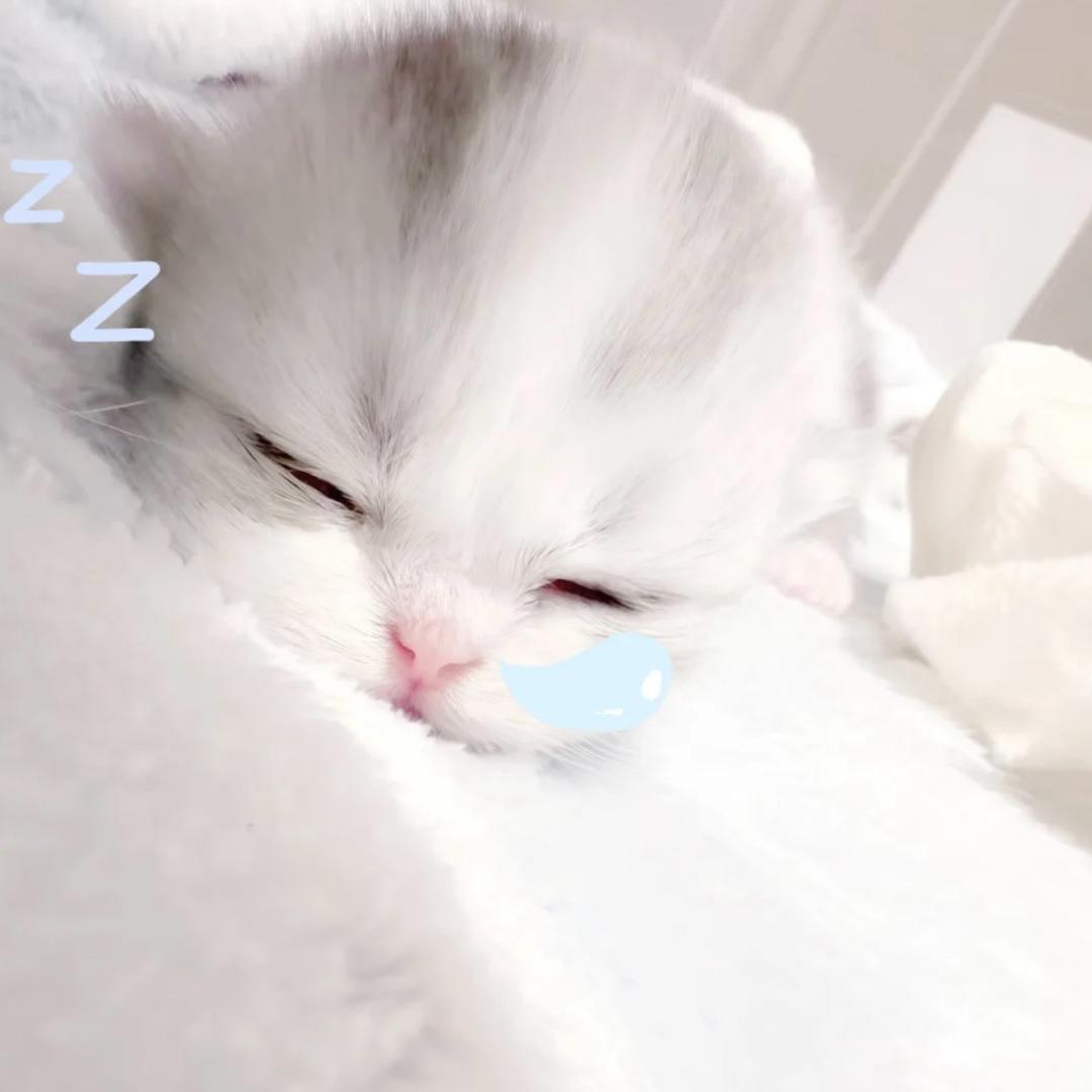 yzf