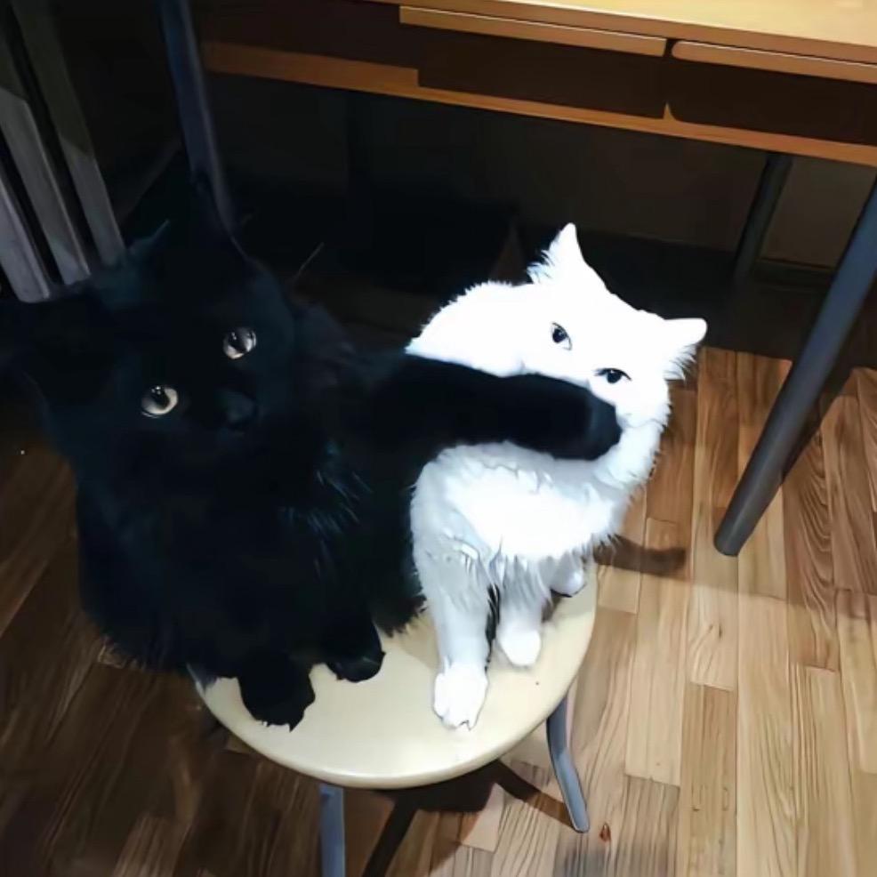 10Y