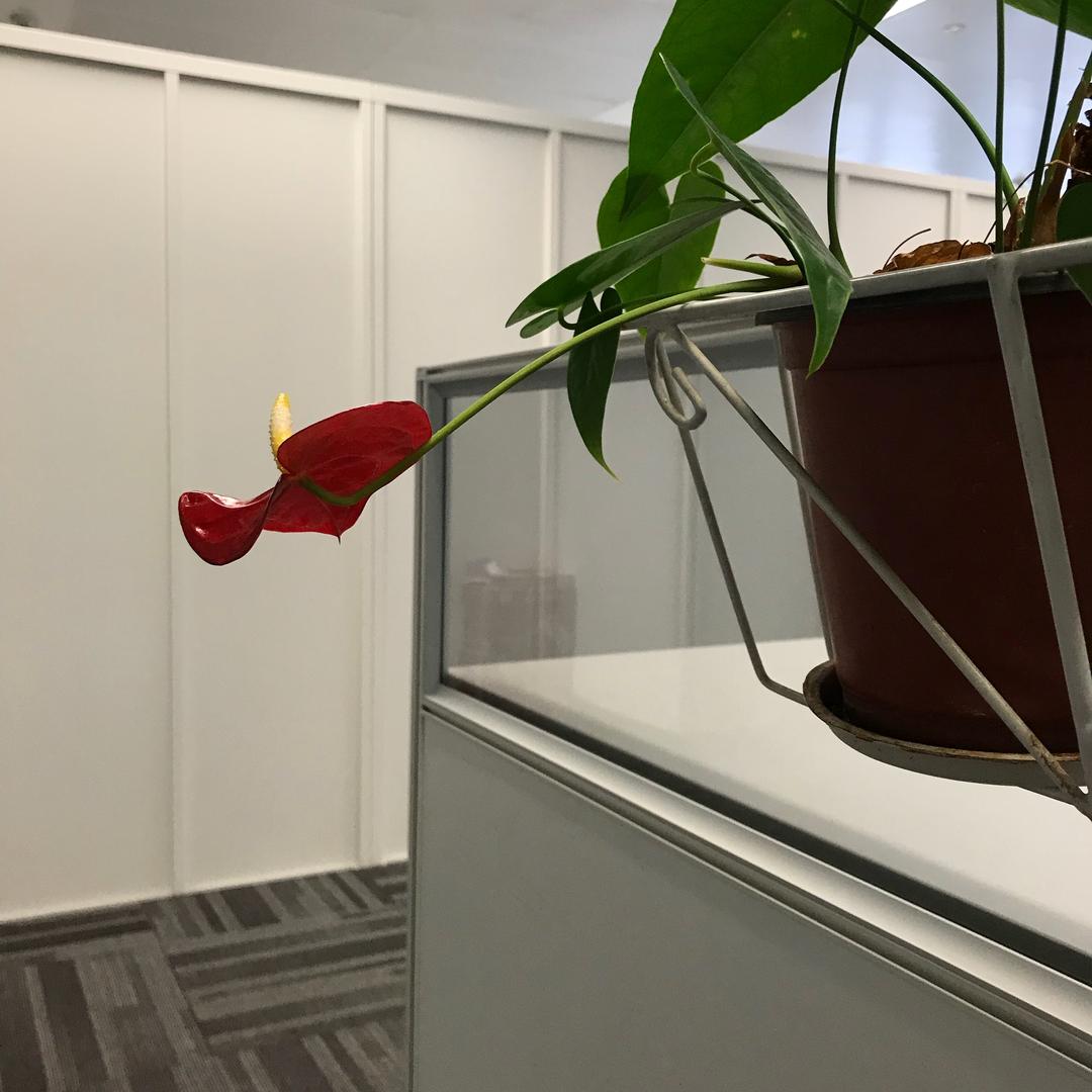 梁溪张可