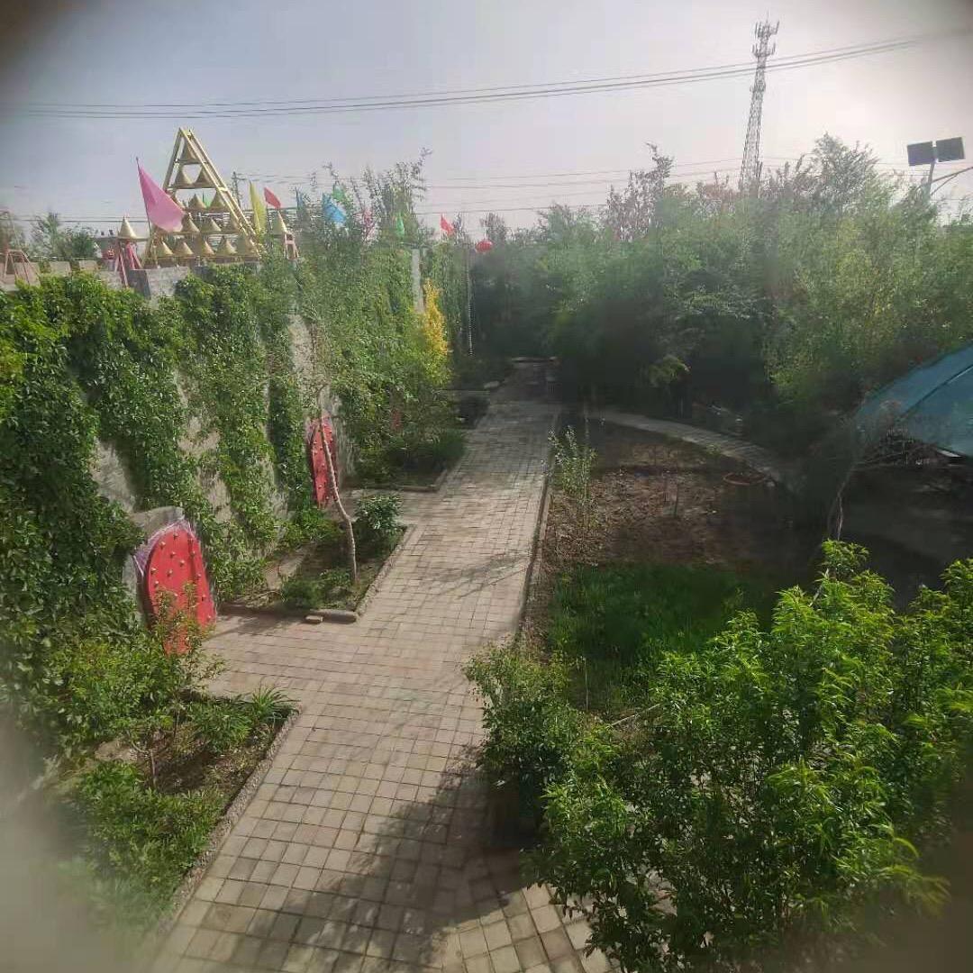 新的一天开始了