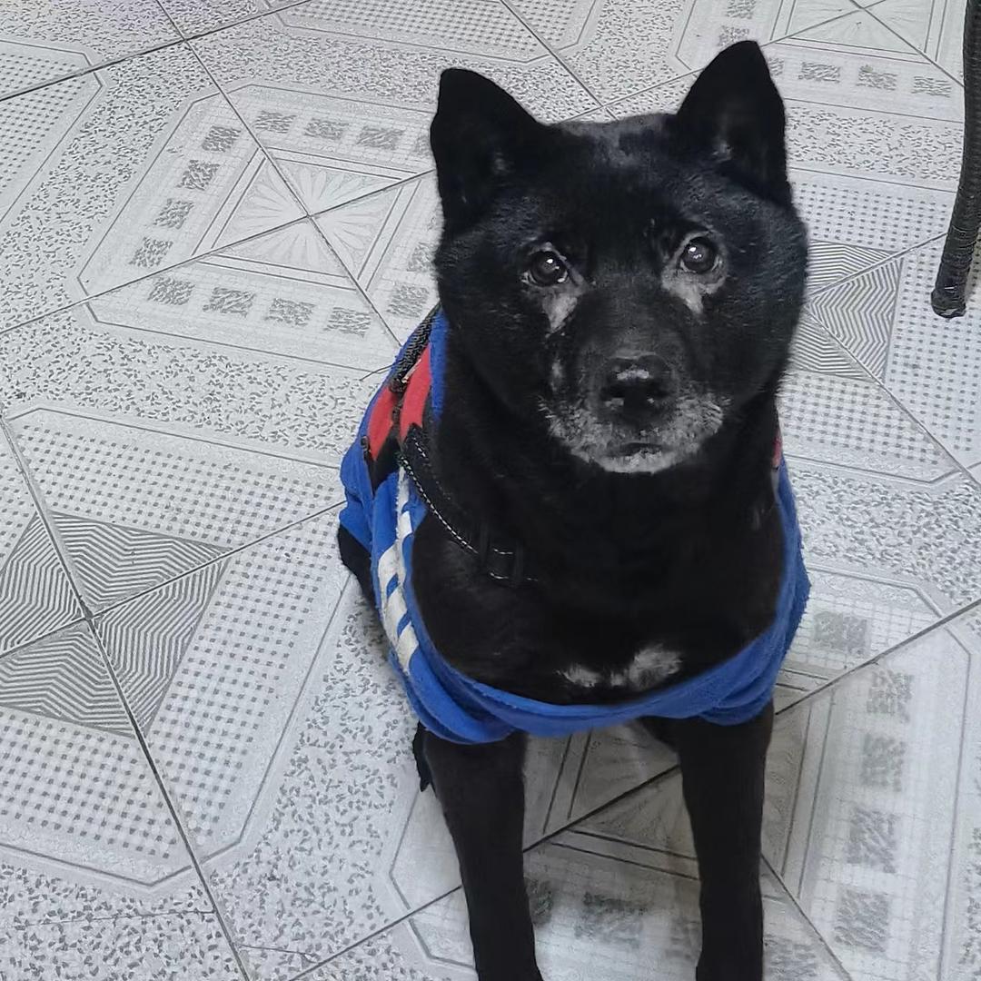 湘江边上一闲人