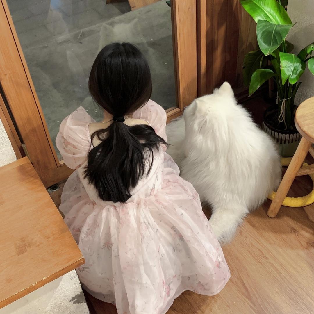杨嘻嘻嘻怡