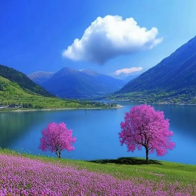 锦上添花