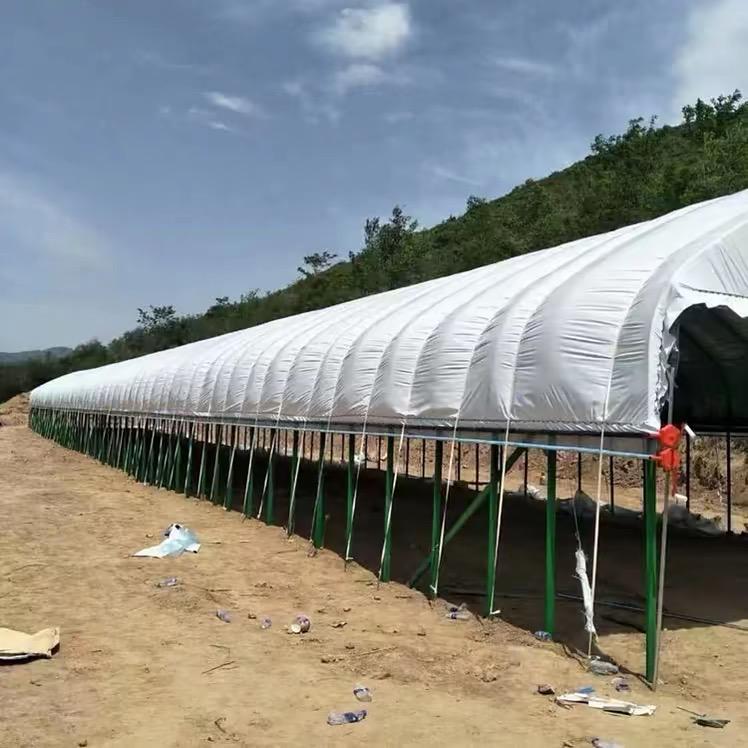 永城市聚兴钢结构有限公司