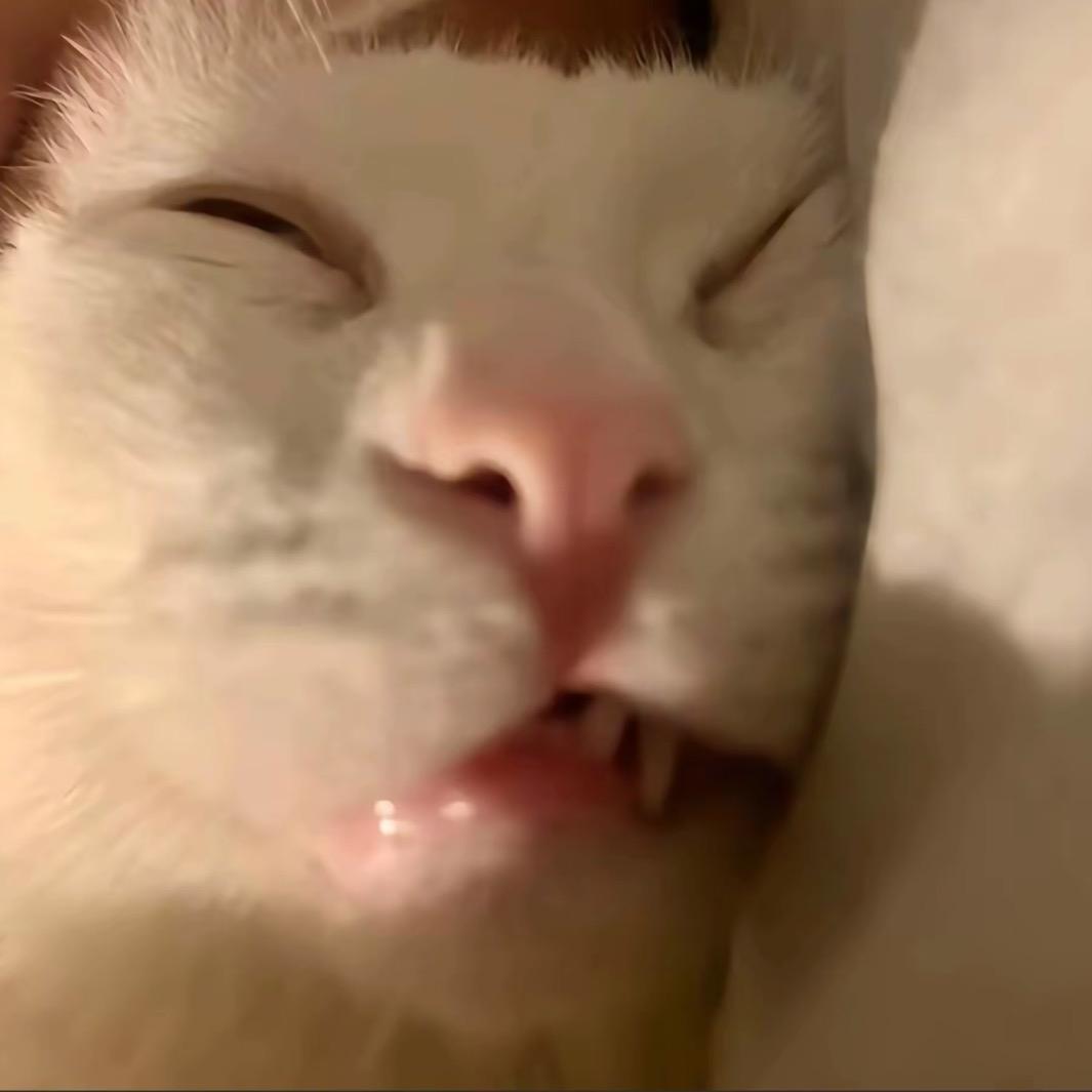 饿鱼
