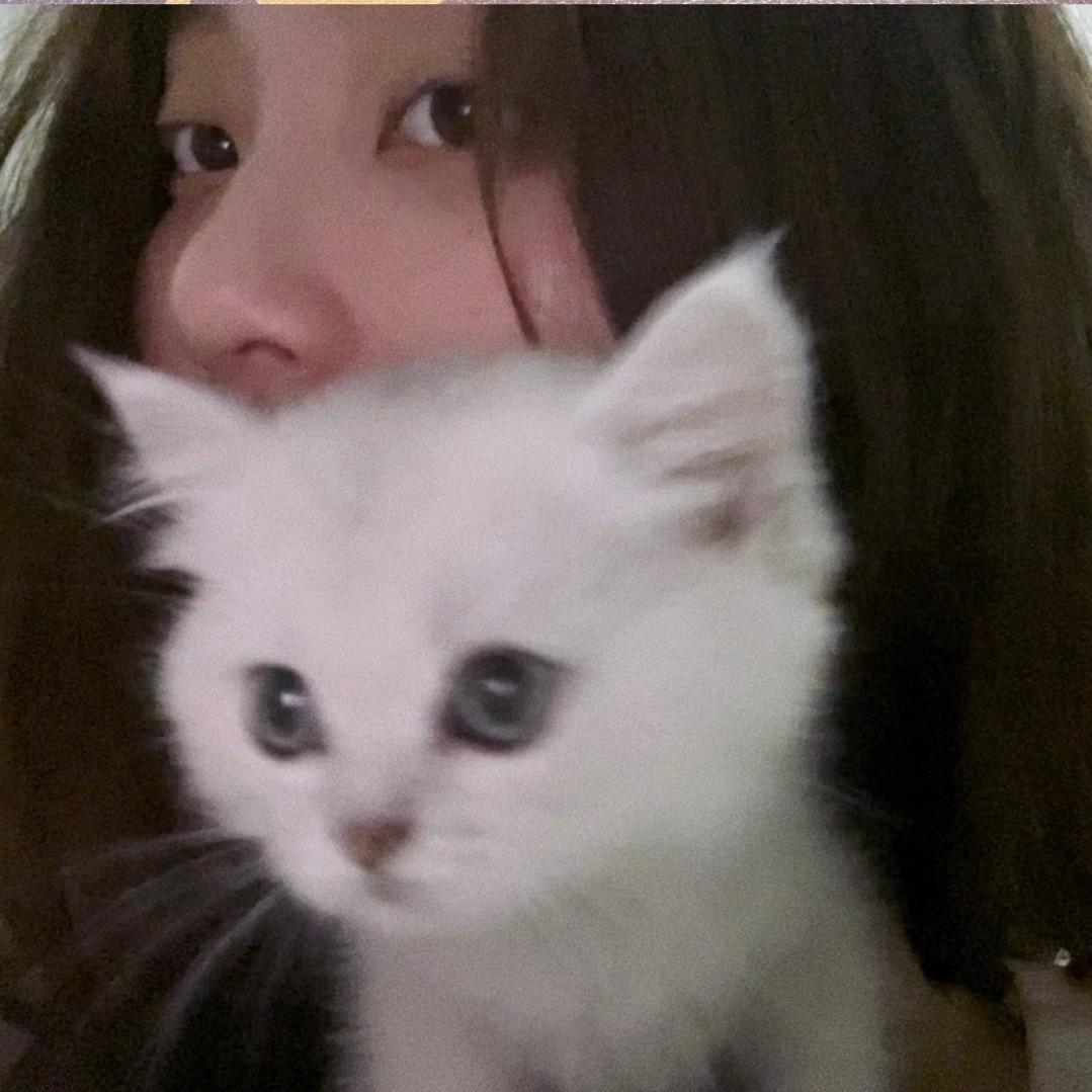 ZAIZAI崽崽Nails｜永城美甲美睫