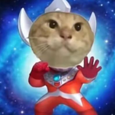 哈基米南北绿豆星