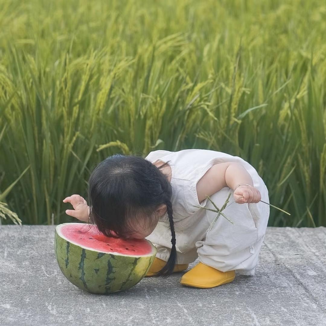 瑶宝的乐造局
