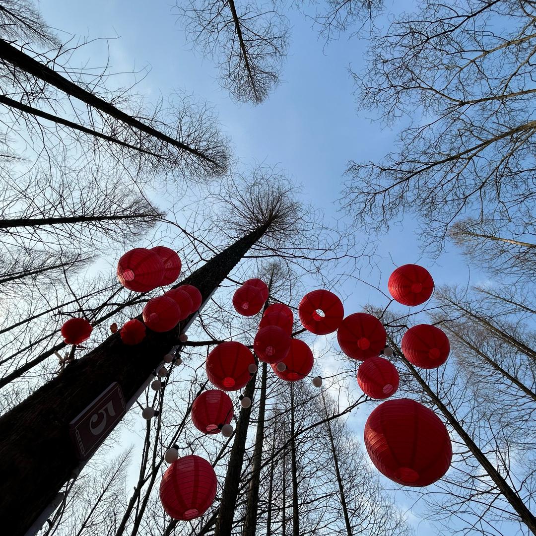 醴陵古洲生态游乐园