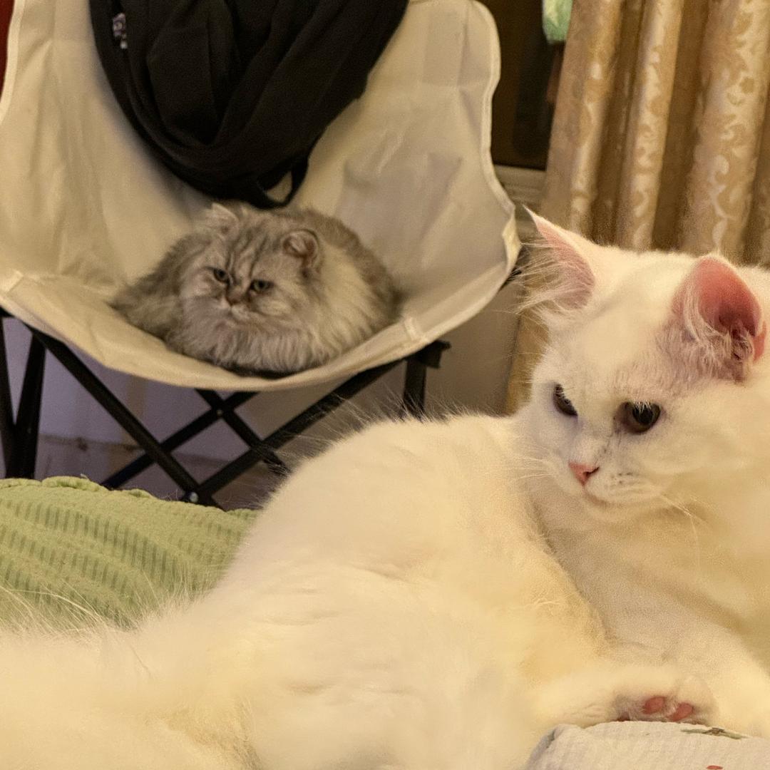 请在适当位置掉头