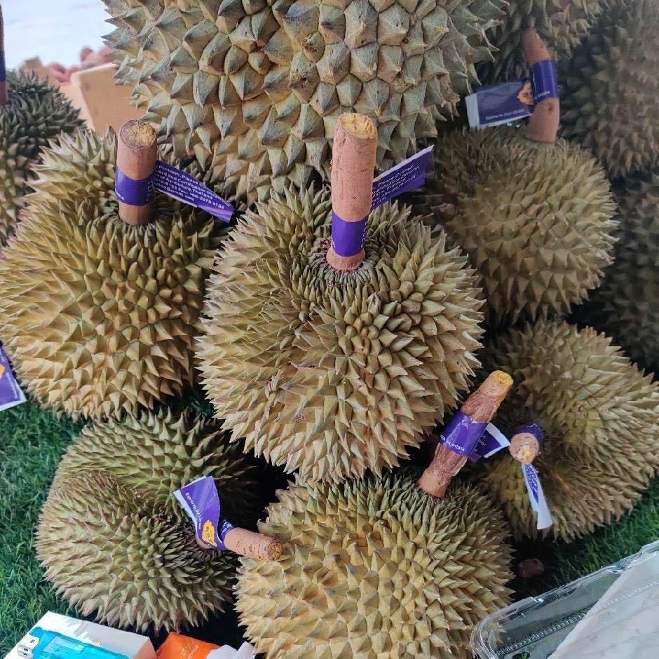 东莞市庆丰果业（专业代销各类葡萄）
