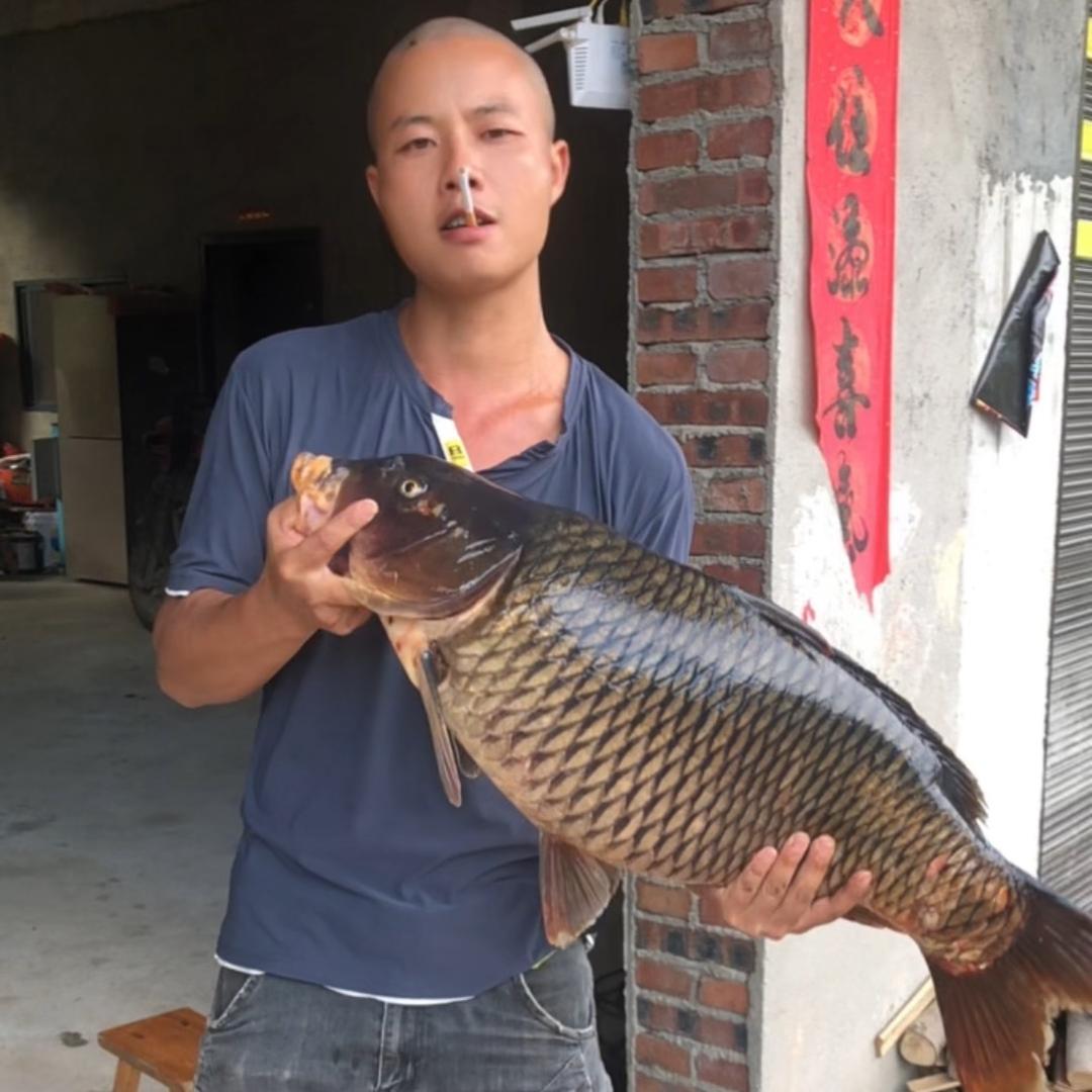 真政爱你