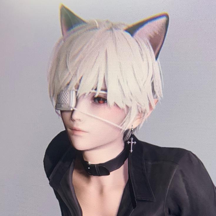 星七天