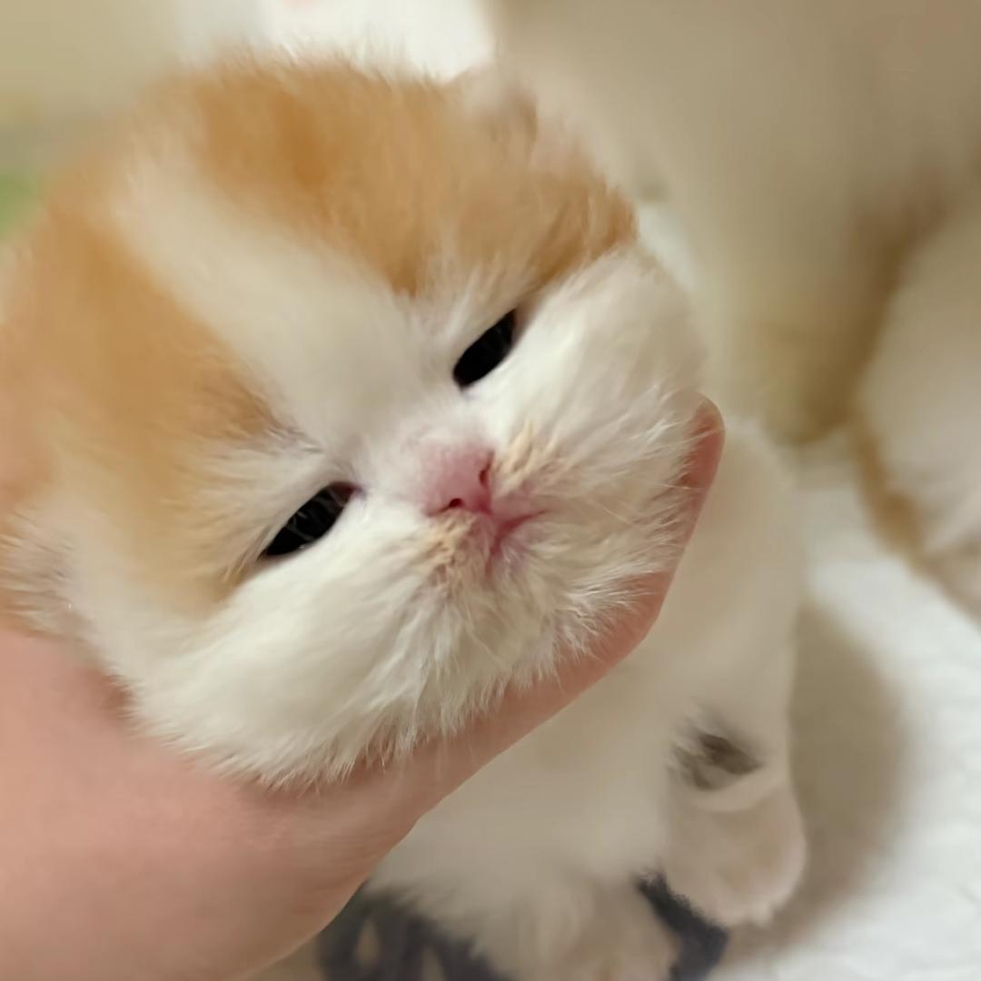 什么钱的都冲我来啊！