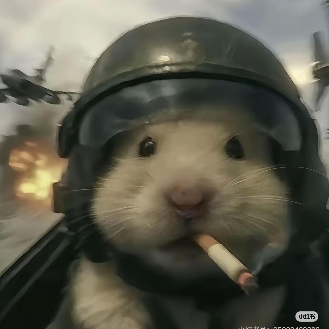 瑞斯塔(三角洲行动)