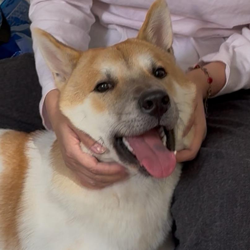 有只小狗叫嘟嘟酱🤨