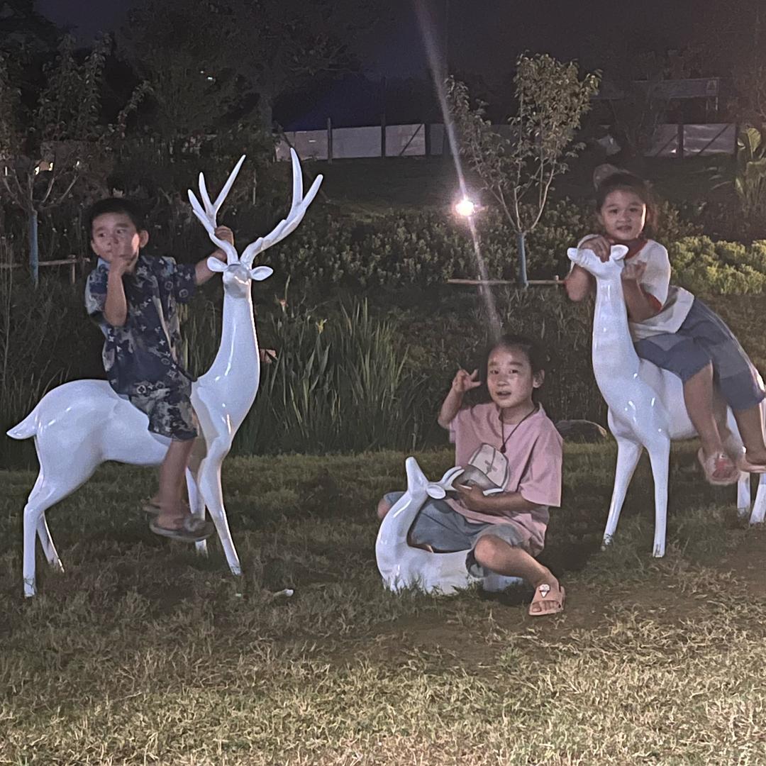 家有神兽三小只